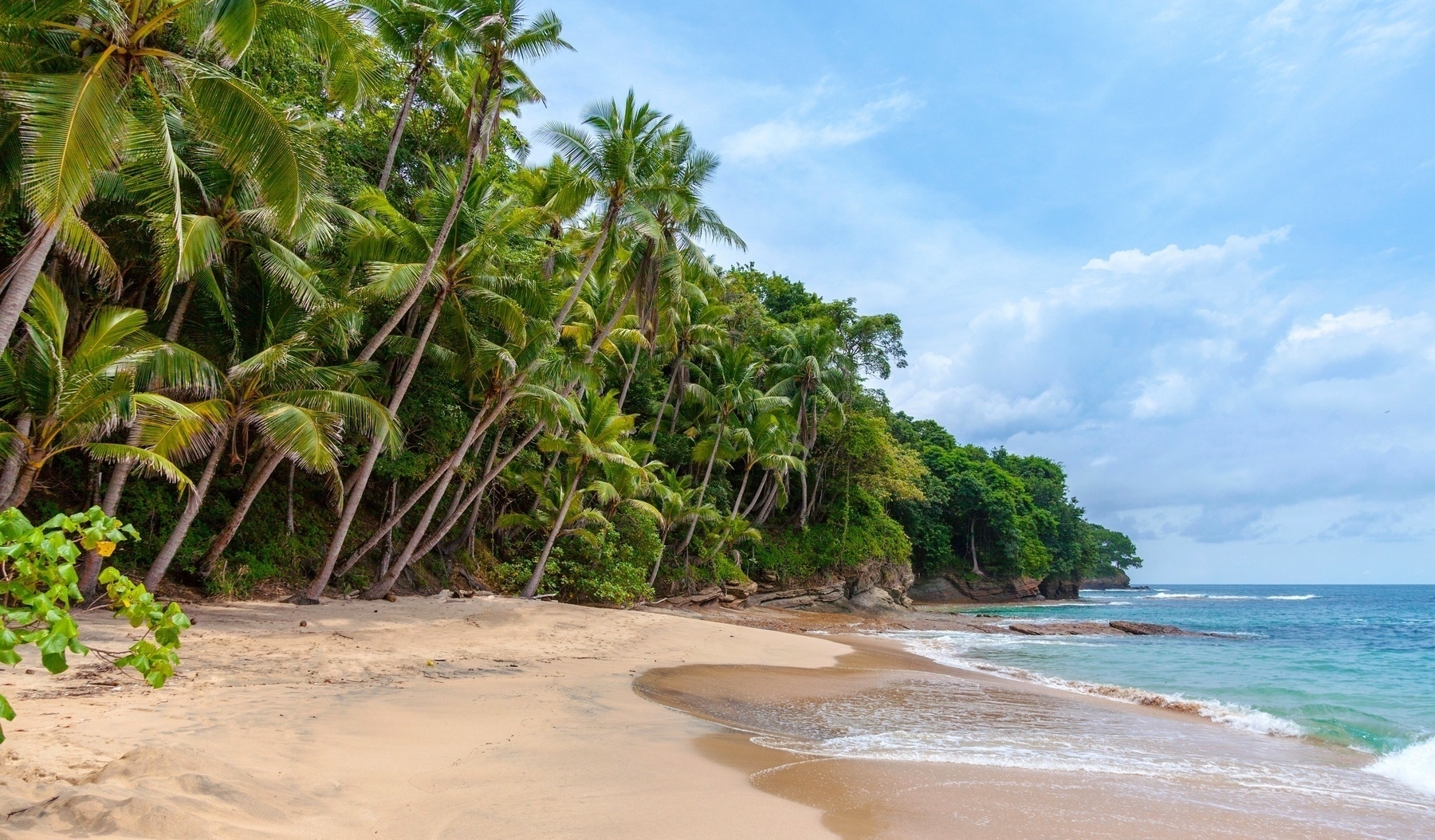 Sunny tropical island beach with a forest of tropical trees farther up the beach away from the water